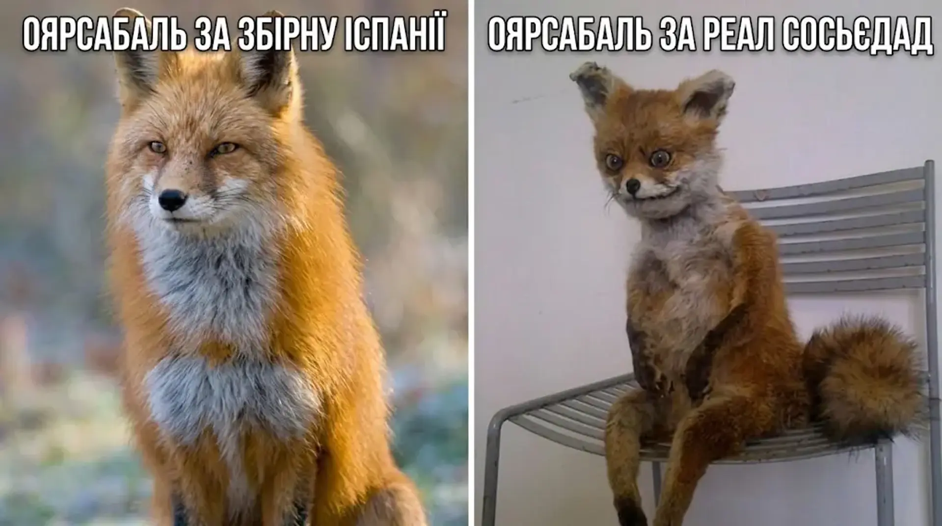 Реал Сосьєдад: катастрофічна оборона, відсутність голів…